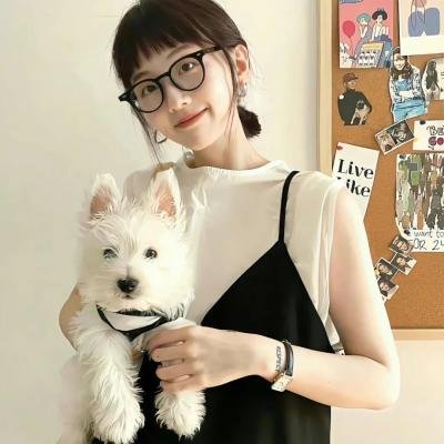 金牌贱猫:重新出击